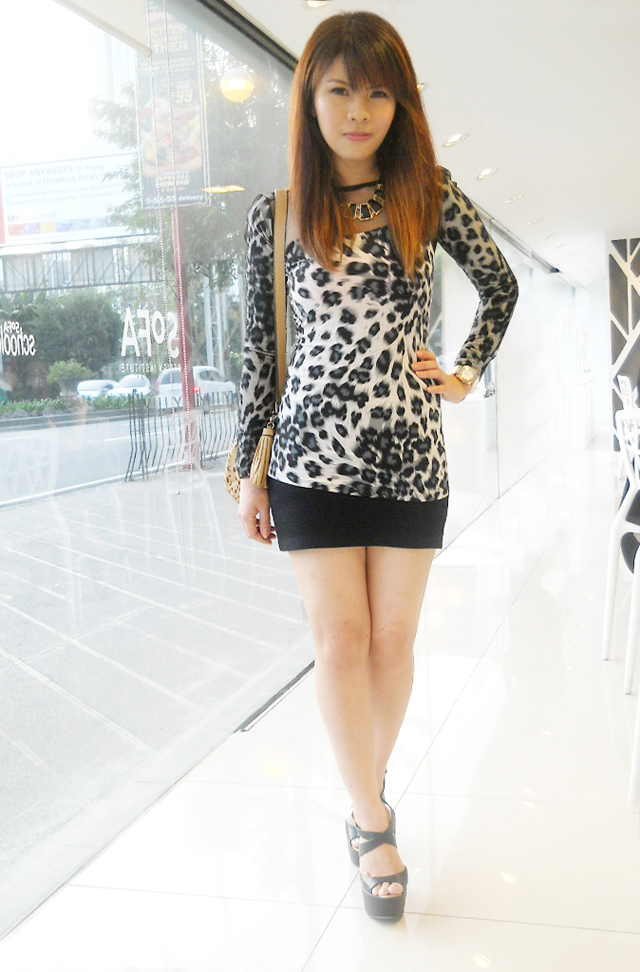 Snow Leopard