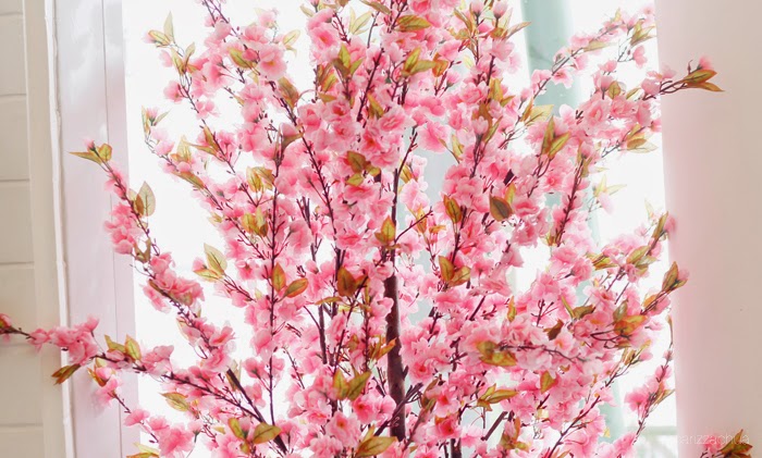 Sakura Season at Tokyo Bubble Tea