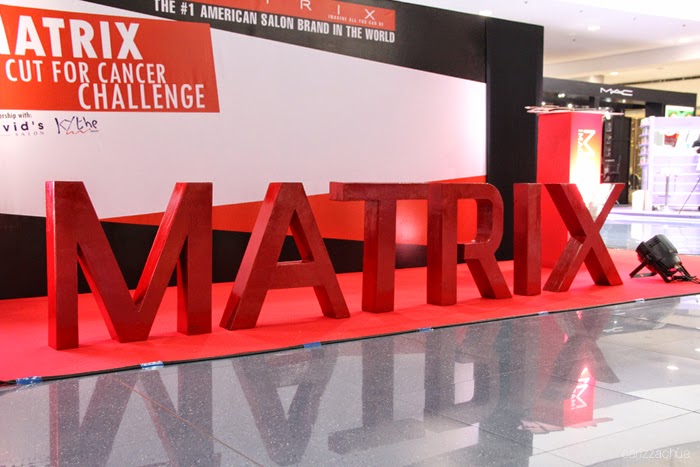 Matrix 8-Inch Cut for Cancer Event