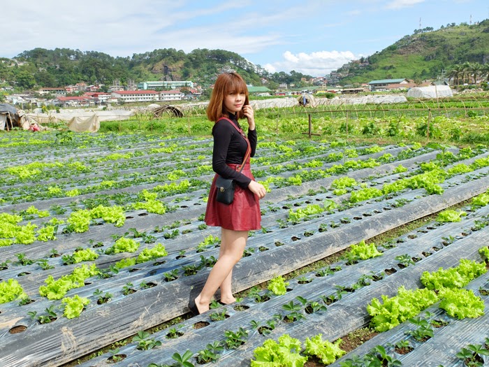 Strawberry Picking!