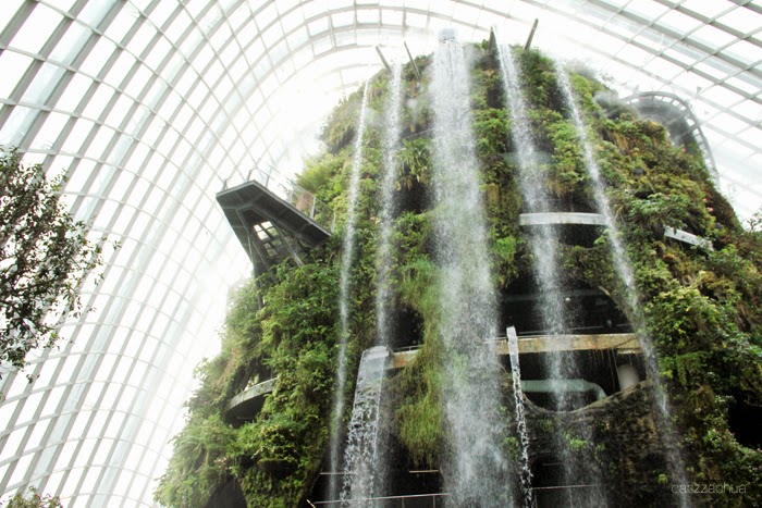 Gardens by the Bay: Cloud Forest