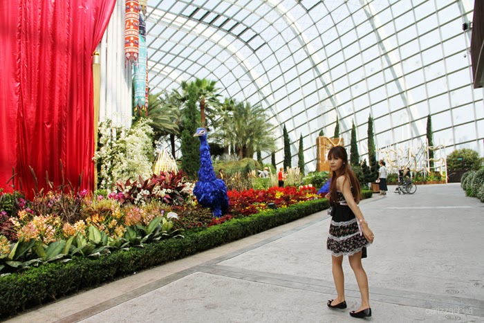 Gardens by the Bay: Flower Dome