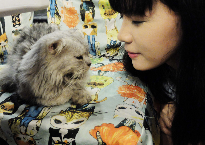 Miao Cat Cafe Carizza Chua Miao Cat Cafe Carizza Chua