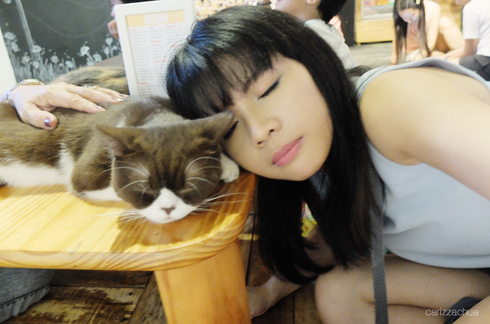 Miao Cat Cafe