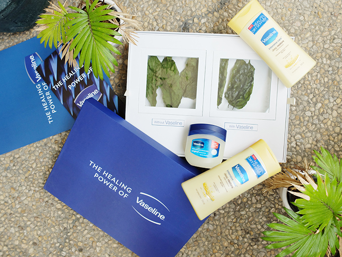 The Healing Power of Vaseline Petroleum Jelly