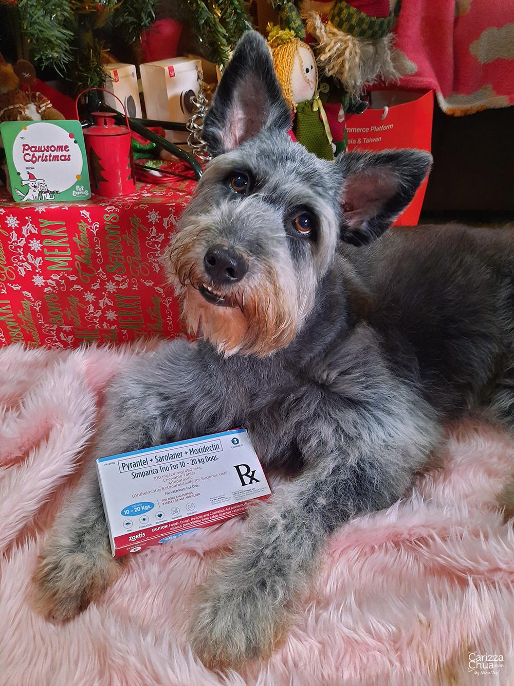 Get A Healthy Companion For Life With Simparica Trio