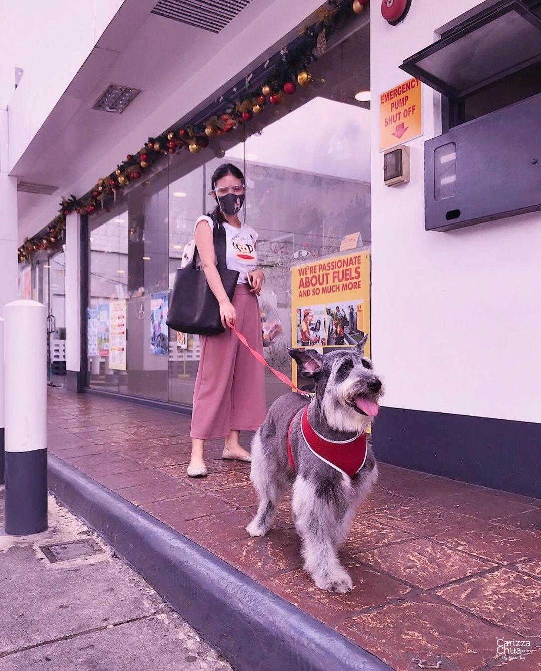 An Impawfect World Made Pawfect: New Normal Care Tips For Your Dog