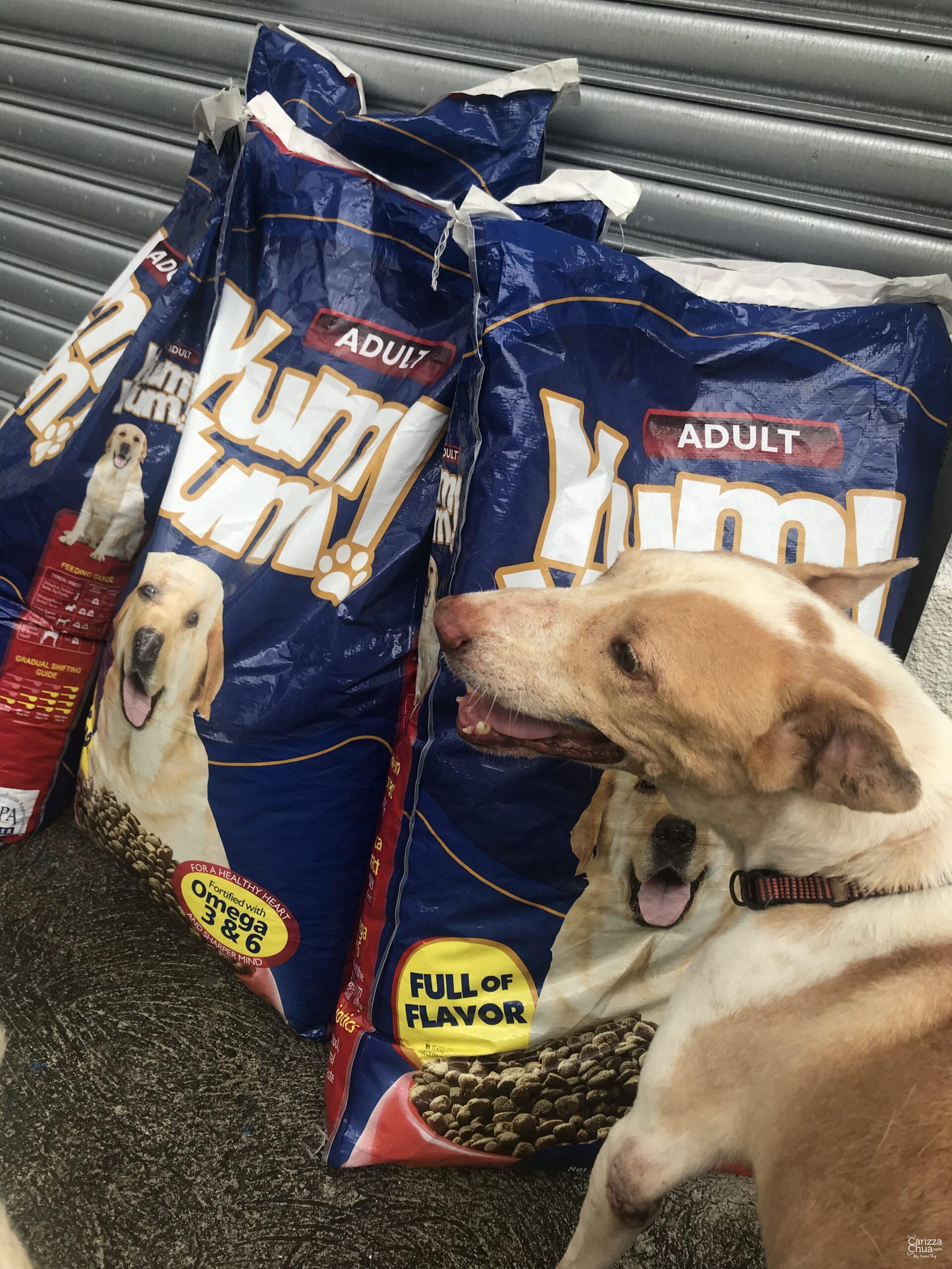 Happy National Aspin Day!