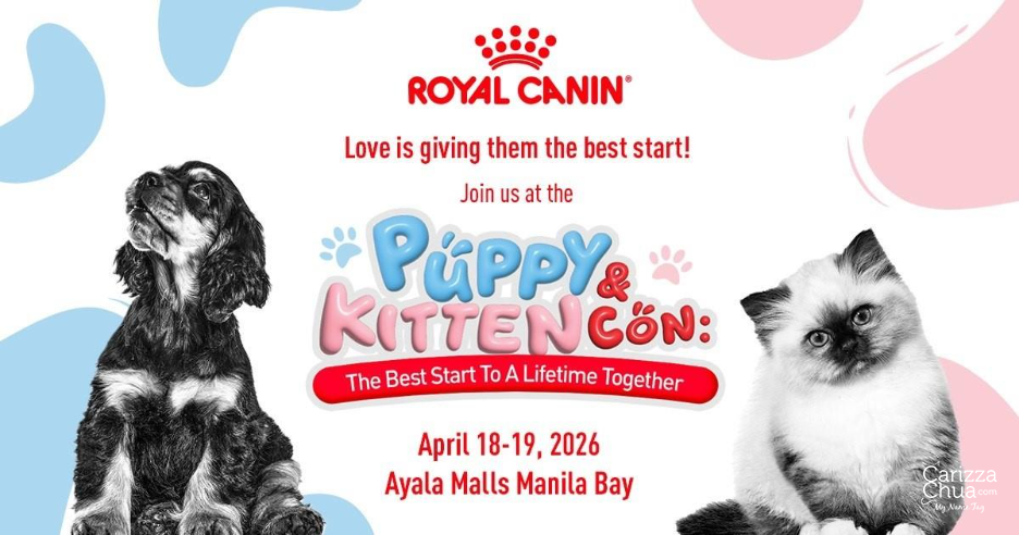 New Pet, New Questions: What First-time Pet Parents Often Overlook Early On